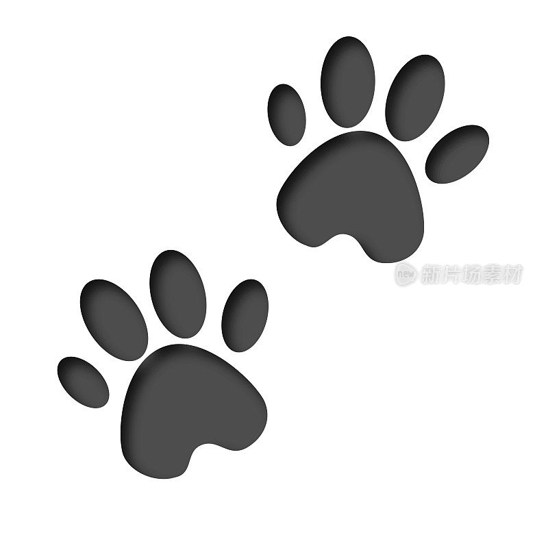 3 d演示。动物的足迹。足迹狗或猫在平面设计。战俘打印动物